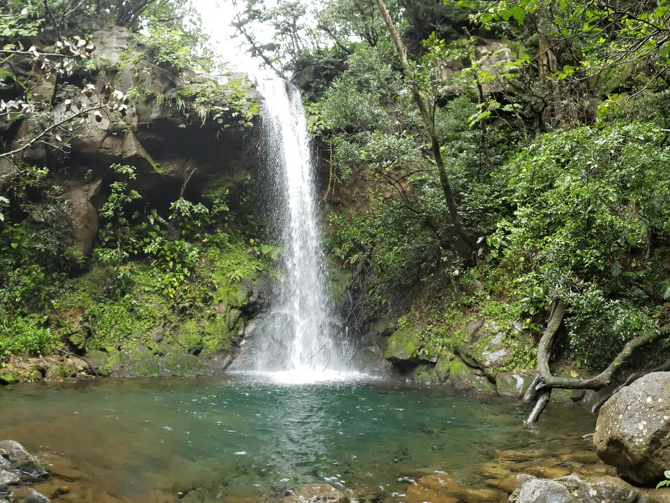 El Rincon Tours & Transportation