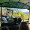 tractor-safari-and-wildlife-watching-rincon-de-la-vieja buena vista mega combo tour tractor safari