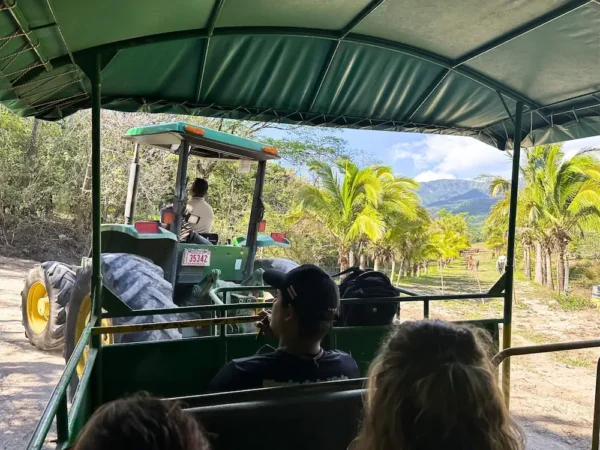 Buena Vista Mega Combo Tour 9 buena vista mega combo tour tractor safari