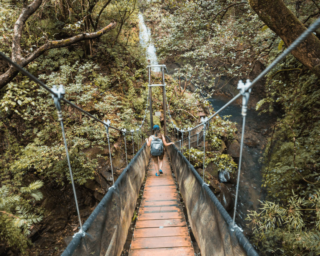 Hanging Bridge to Oropendola Waterfall