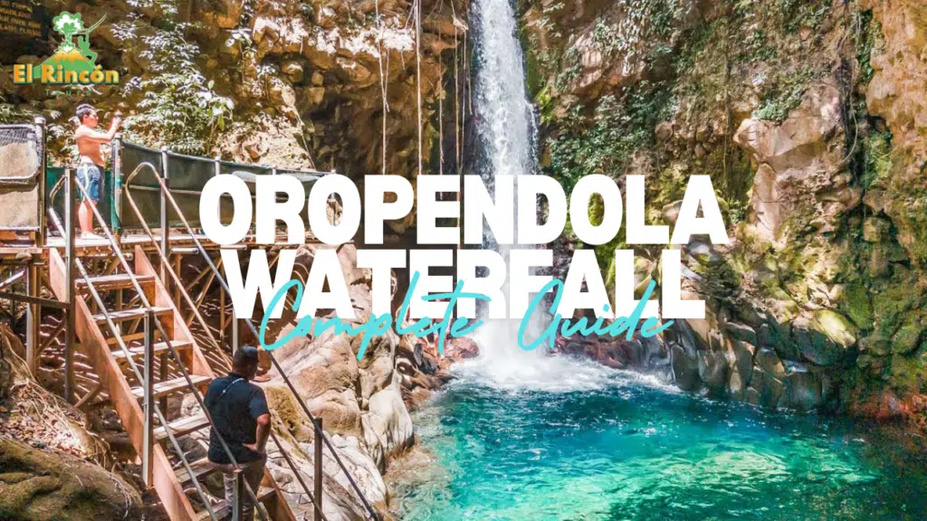 Guide to Visiting Oropendola Waterfall