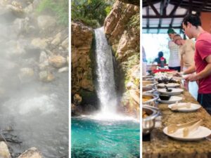 Combo Tour: Las Pailas Trail + Oropendola Waterfall + Lunch