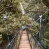 Oropendola Waterfall Hanging Bridge