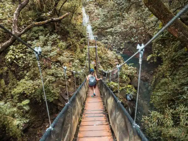 Oropendola Waterfall Hanging Bridge