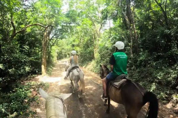 Buena Vista Mega Combo Tour Costa Rica