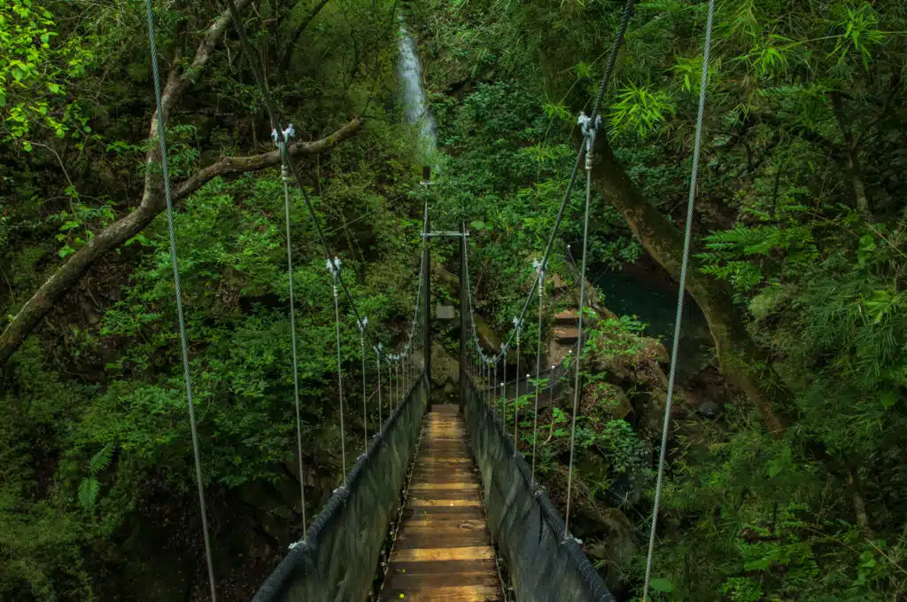Oropendola Waterfall: Your Complete Travel Guide 9 El Rincon Tours & Transportation