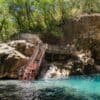 oropendola waterfall swim costa rica