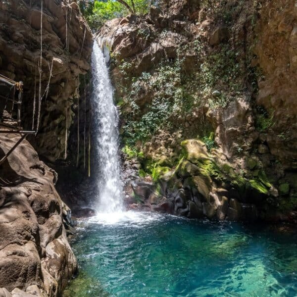 oropendola waterfall rincon de la vieja