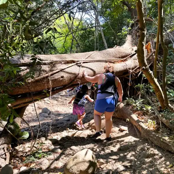 jungle trail to la leona waterfall in rincon de la vieja