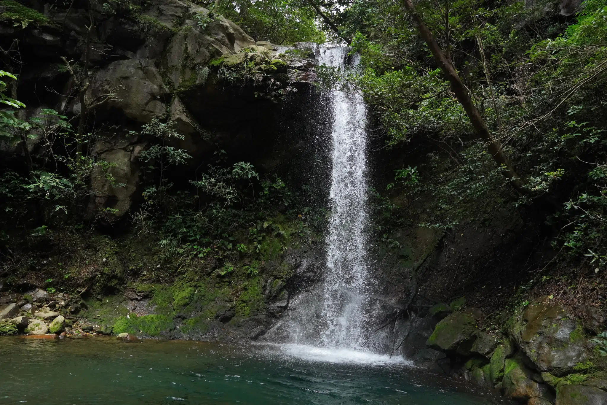 Rincon Thank You 3 Escondida Waterfall Trail