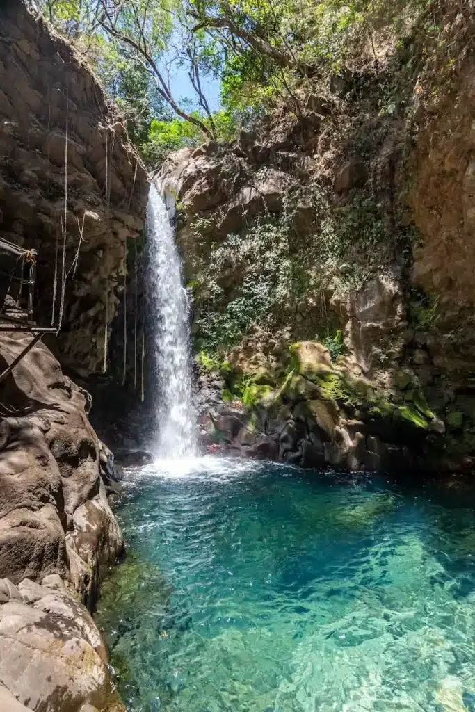 dry season oropendola waterfall