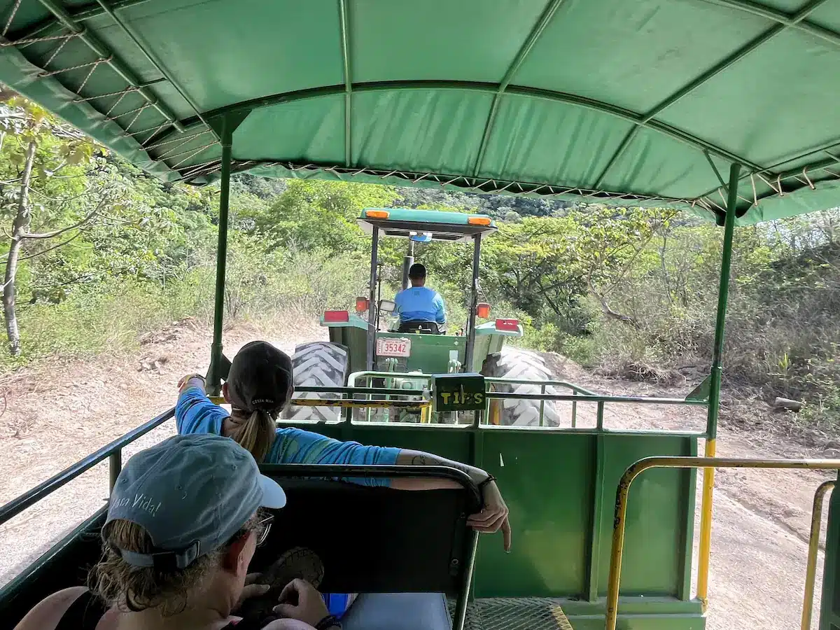 Buena Vista Mega Combo Tour Costa Rica 13 buena vista mega combo tour tractor safari