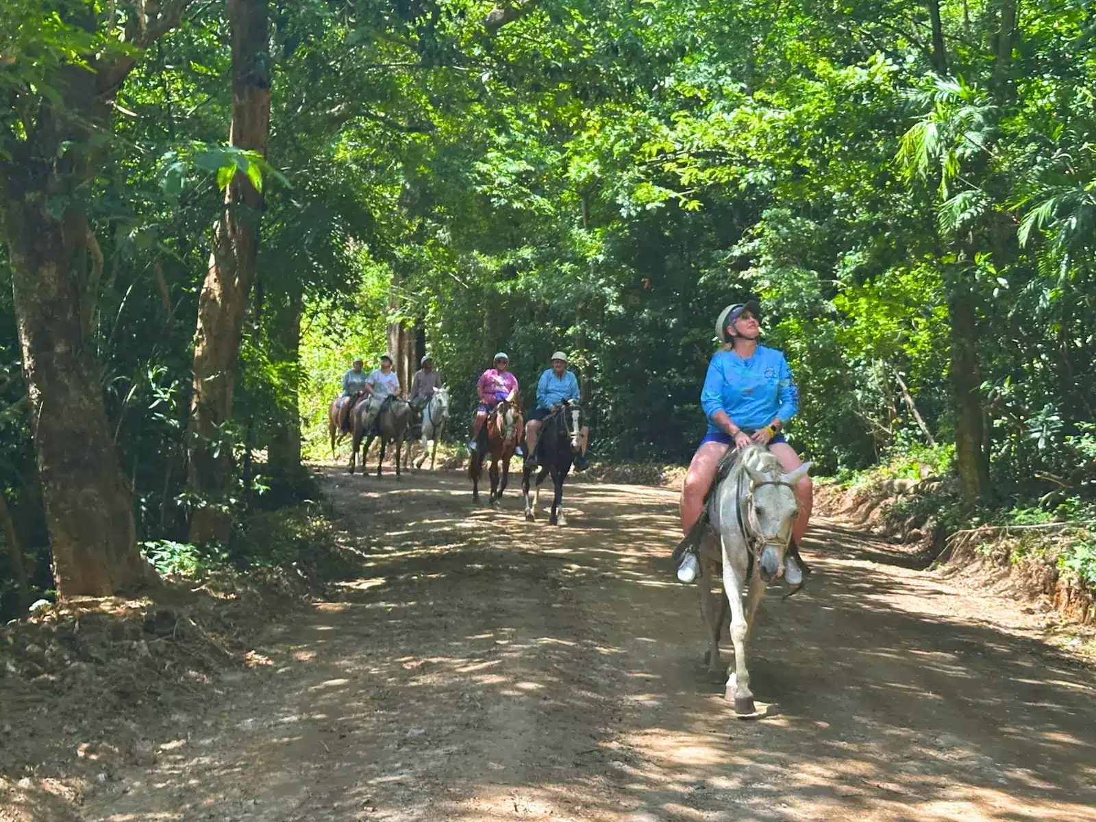 Buena Vista Mega Combo Tour Costa Rica 11 horse back ride buena vista mega combo tour costa rica