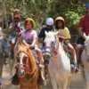 horseback-riding-near-liberia one day adventure pass rincon de la vieja