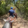 horseback-riding-rincon-de-la-vieja horseback riding in rincon de la vieja