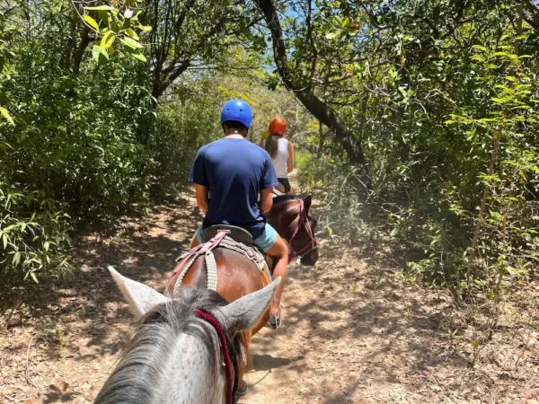 One Day Adventure Pass 5 horseback riding in rincon de la vieja
