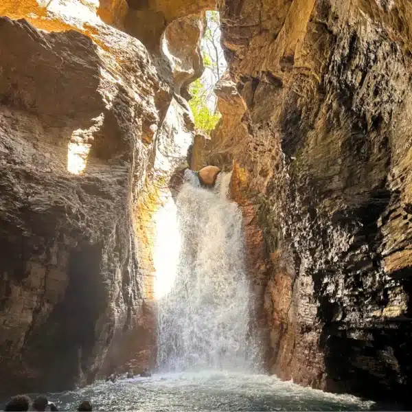 join the la leona waterfall hike and visit las pailas trail in one day