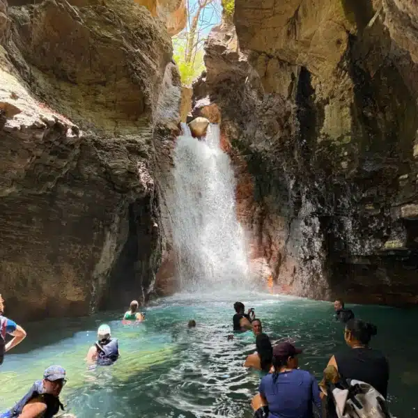 la leona waterfall adventure hike and canopy tour