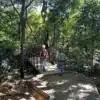 las pailas loop trail rincon de la vieja national park