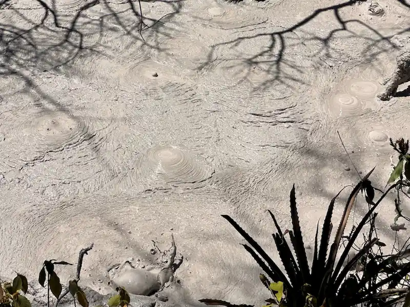 las pailas trail volcanic mud pots