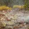 las pailas trail volcanic activity hike