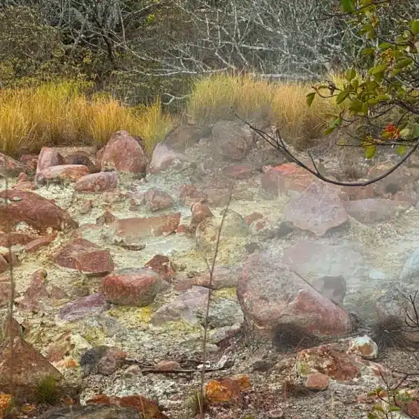 las pailas trail volcanic activity hike
