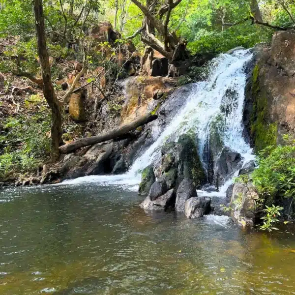 waterfall trail rio negro hot springs rincon de la vieja