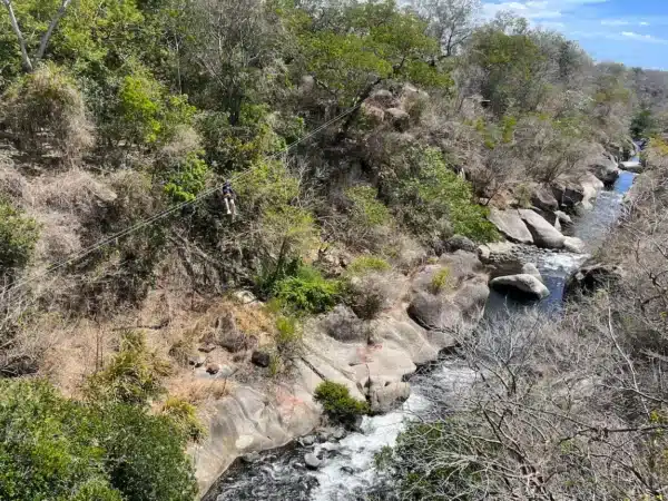 rincon de la vieja zip lining and canopy