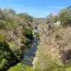 canopy zip lining rincon de la vieja