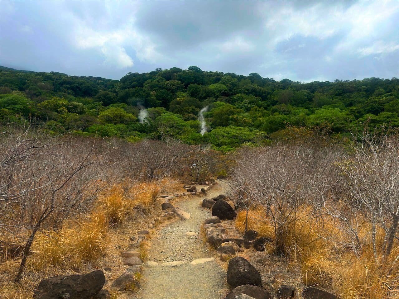 Rincon de la Vieja National Park 2 las pailas loop trail near rincon de la vieja volcano
