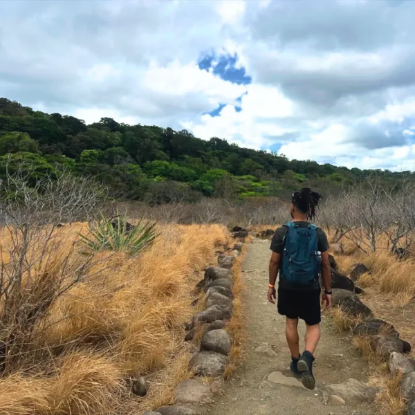 Las Pailas Trail (Volcanic Activity Hike) + Oropendola Waterfall + Lunch + Hot Springs & Mud Bath 6 las pailas trail rincon de la vieja
