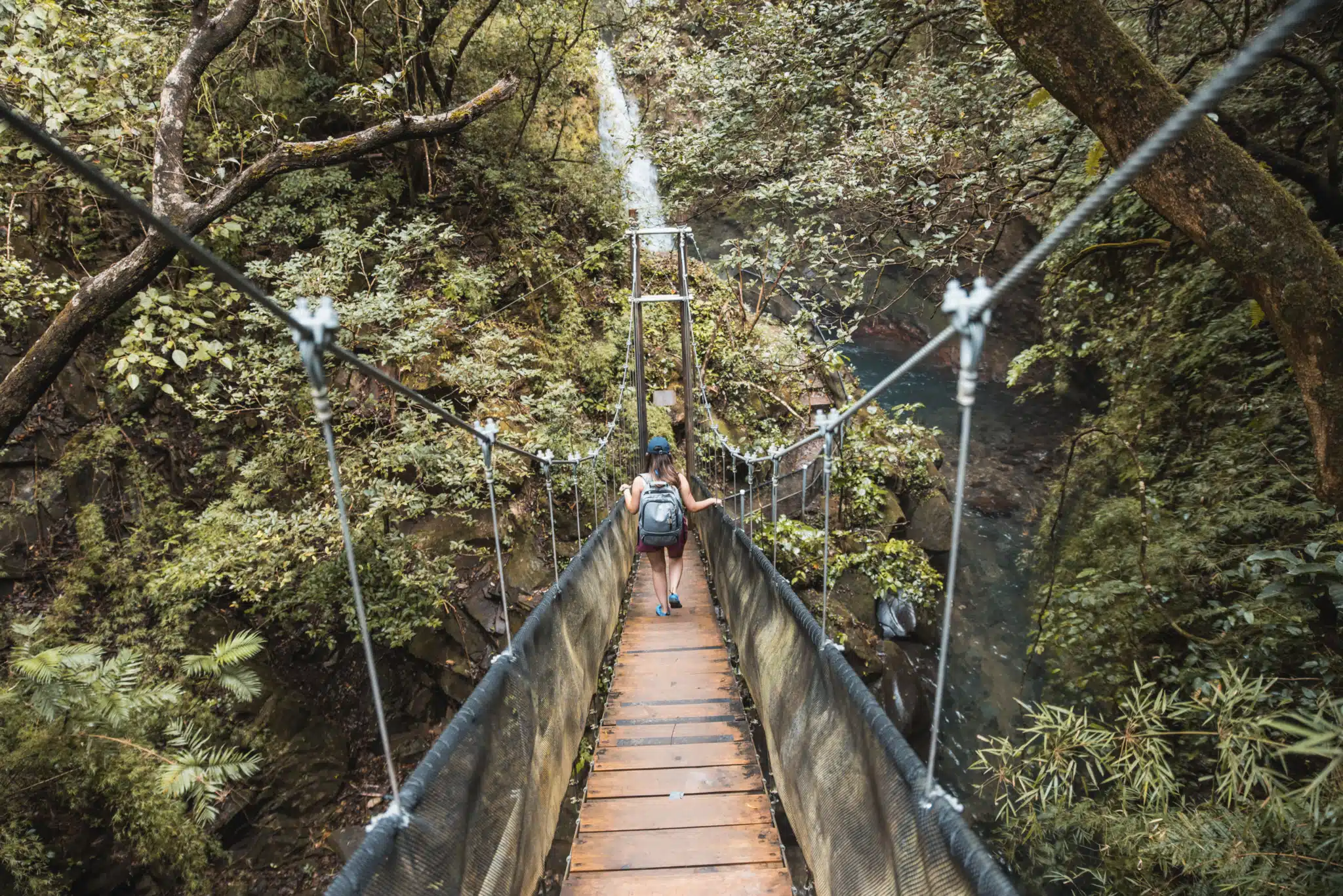 oropendola waterfall costa rica hanging bridges