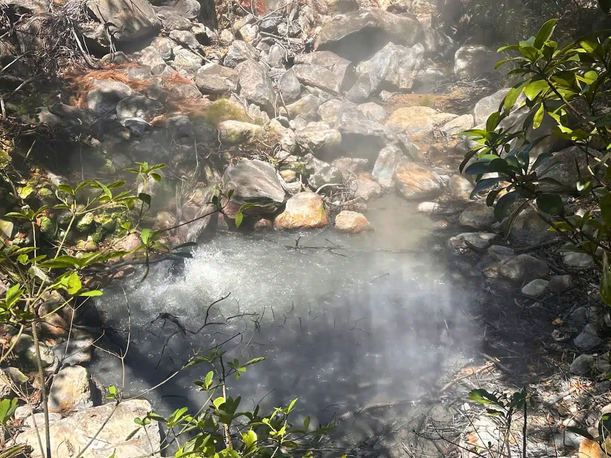 Las Pailas Trail at Rincon de la Vieja National Park 13 rincon de la vieja volcano hike
