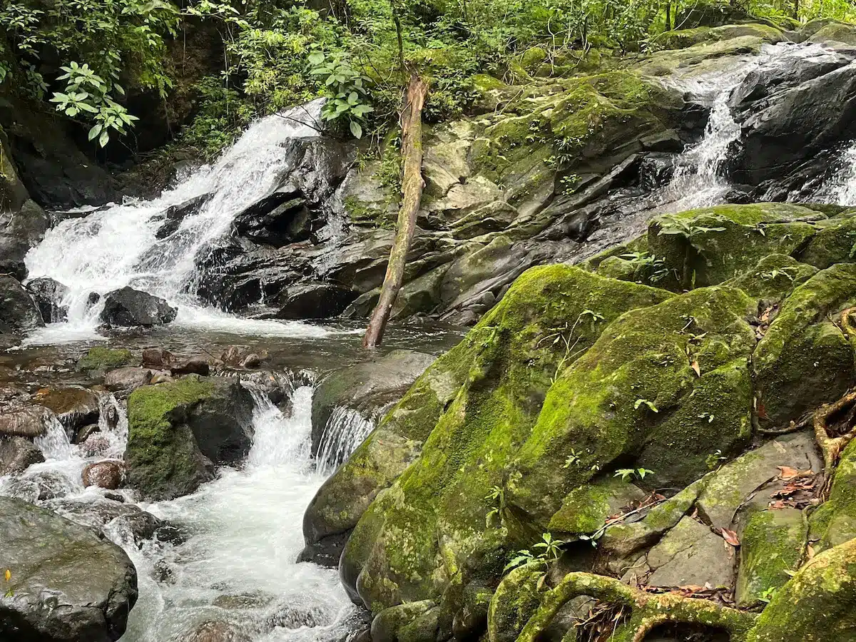 Rincon de la Vieja National Park 26 enchanted waterfall trail in rincon de la vieja santa maria sector