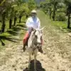 horseback riding near liberia