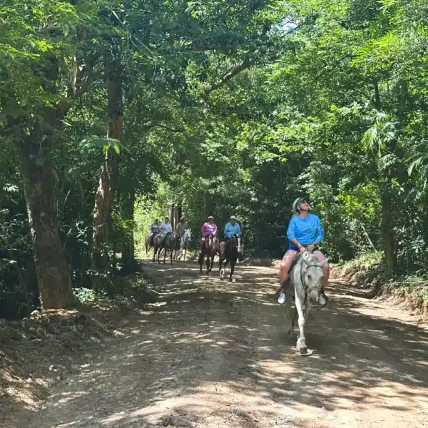 enjoy a scenic horseback ride on the one day adventure pass