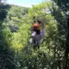 zip line canopy tour in rincon de la vieja