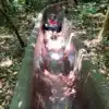 enjoy the longest jungle water slide in costa rica